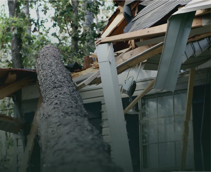A tree fallen through the roof of a house after a storm